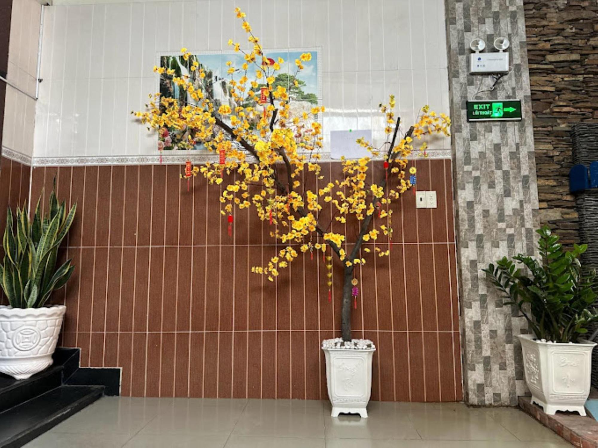 158a * TP. Hồ Chí Minh